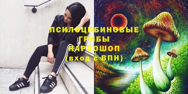 хмурый Армянск